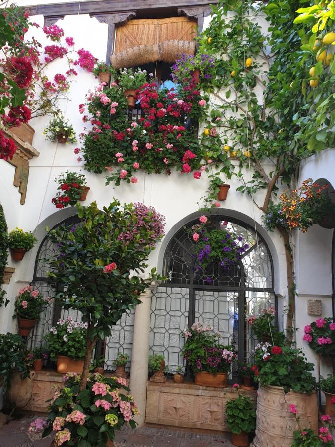 Apto. Planta Baja Y Cochera Barrio San Basilio Córdova Exterior foto