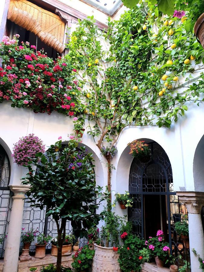 Apto. Planta Baja Y Cochera Barrio San Basilio Córdova Exterior foto